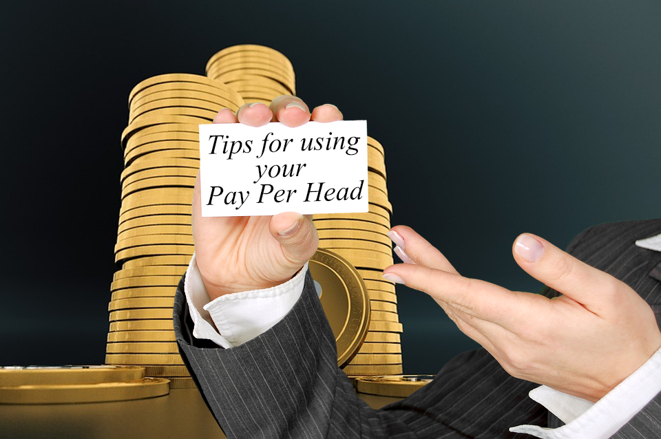 Tips for Using Your Pay Per Head Service to Market Your Bookie Business